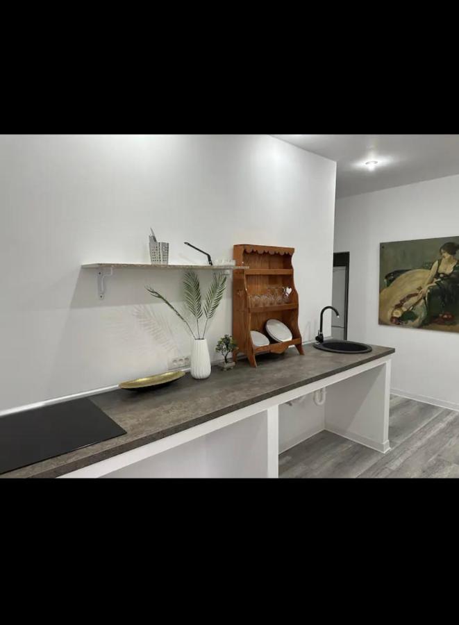 Piata Libertatii Apartament 1 Room 티미쇼아라 외부 사진